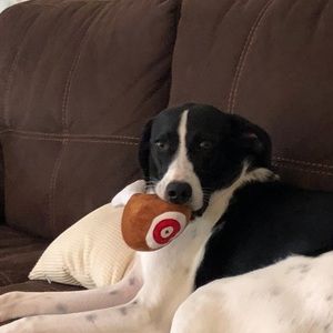 Meet your Posher, Laurie